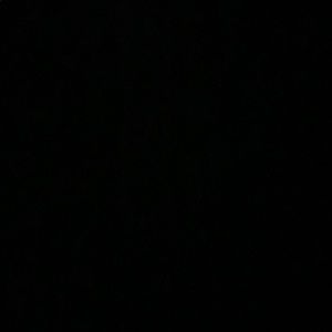 Meet your Posher, Jessie